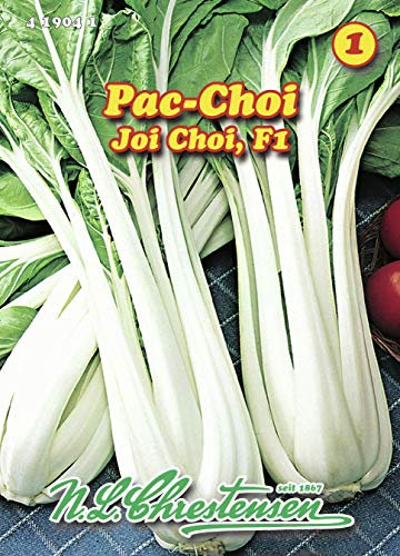N.L. Chrestensen 419041 Pac Choi Joi Choi F1 (Pac Choi Samen)