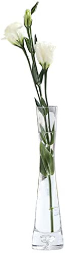 Vaso trasparente in vetro, piccolo vaso da fiori in stile vintage, decorazione da tavolo per matrimoni, vaso a stelo singolo, per casa, ufficio, decorazione di nozze