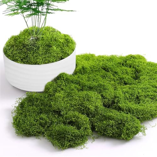 150g Kunstmoos Zum Dekorieren, Islandmoos, Frisches Grünes Moos, Künstliches Moos, Konserviertes Haltbares Natur Moos, Deko Moos Künstlich für Blumen, Pflanzen, Garten, Rasen, Basteln