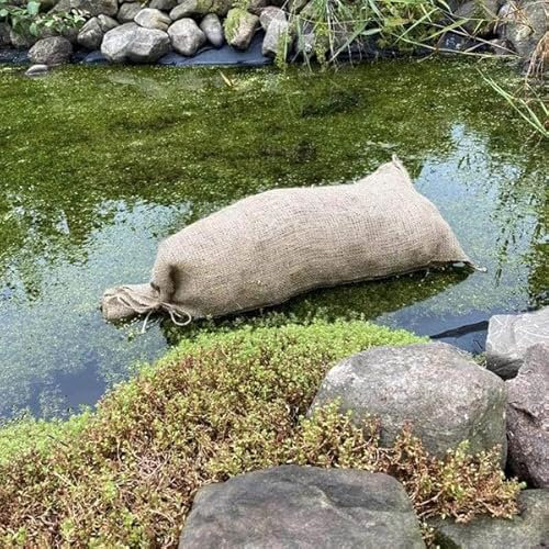 Wiggly Wigglers Barley Straw For Natural Algae Treatment In Ponds Direct From Farm Bale Blanket Duck Weed Treatments Control Clears Algae, Green Water, and Blanketweed (Large)