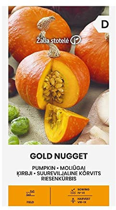 Zalia stotele | PÉPITE D'OR CITROUILLE des Graines | Graines de Légumes | Graines de Plantes | Graines de Jardin | 1 Paquet