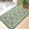 DEXI Non-Slip Doormat, Indoor and Outdoor Door Mat, Absorbent and Durable, Machine Washable, Dustproof Entrance Mat, 80 x 120 cm, Green