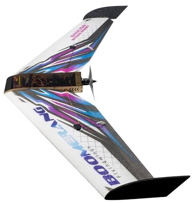 Dancing Wings Hobby EPP FPV Flying Wing Model Plane Boomerang E42 1114mm Remote Controlled Airplane Need to Assemble (E4204)