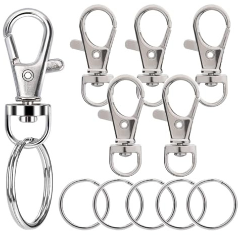 6 Pezzi Moschettone Portachiavi, Portachiavi Moschettone, Moschettoni Portachiavi, Moschettoni Piccoli Multiuso, Anello Portachiavi, per Auto Chiave, Campeggio, Zaino