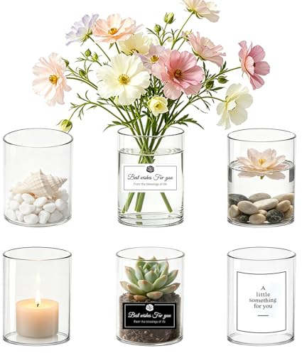 Rliocvhe 6 Piezas 8 x 6.5 cm Jarrones de Cristal de Flores,Jarrones Decorativos de Cristal Transparentes Modernos Pequeños,para Home Decoración de Interiores, arreglos Florales, Centros de Mesa