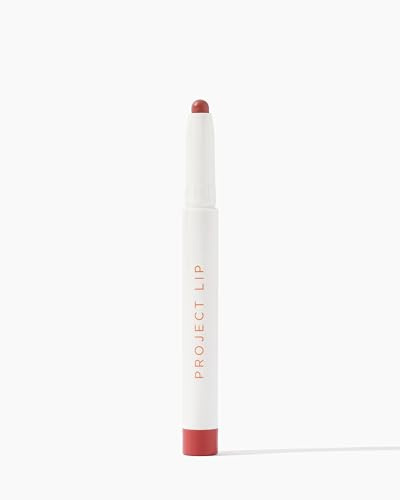 PROJECT LIP - PLUMP & FILL LIP LINER - SHADE FLIRT