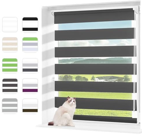 Wudomi Doppelrollo Klemmfix ohne Bohren Anthrazit 50x130cm(BxH),Lichtdurchlässig und Verdunkelnd Duo Rollo,Klemmrollo Seitenzugrollo für Schlafzimmer, Badezimmer, Wohnzimmer Fenster und Tür