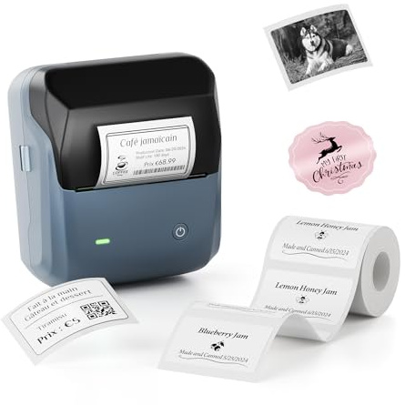 NIIMBOT B31 étiqueteuse Imprimante d'étiquettes Autocollant Thermique | compatibles avec les grandes étiquettes 20 à 77 mm, adaptée codes-barres, adresses et logos, monochrome sans encre