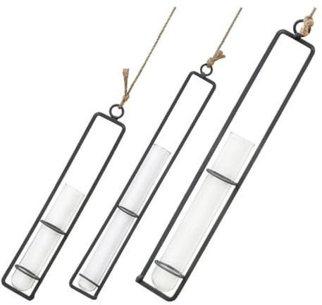 LALAFINA 3pcs Hanging Glass Tube Holders with Iron Stand for Hydroponic Greenery, Wall-Mounted Glass Flower Vases for Home Décor, Indoor Living Room Plant Containers