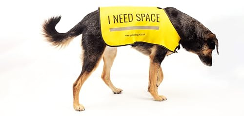 Yellow Dog UK Dog Vest - I NEED SPACE (Large)