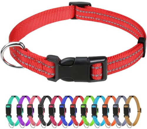 TagME Nylon Hundehalsband, Verstellbares Reflektierendes Hundehalsband mit Sicherheitsschnalle für Extra Kleine Hund, Rot, 1.5cm Breite