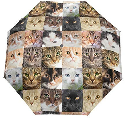 Niedliche Katze Familienfoto Regenschirm Taschenschirm Automatische Reise Winddichte Sonnenschutz Trekkingschirm Wanderregenschirm für Frauen Männer