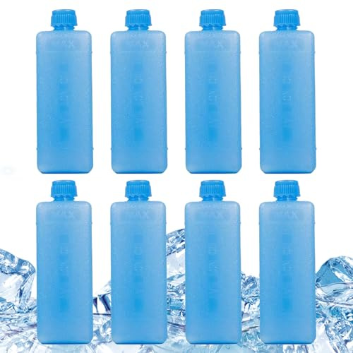 WJnflQN Batteria refrigerante per borsa frigo, batteria portatile per congelatore | Con scatola di immagazzinaggio refrigeranti per la casa, le attività all'aperto, la, i