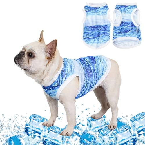 CHONGQILAO Gilet rafraîchissant pour chiens et chats, veste de refroidissement pour chiens, tissu à refroidissement instantané et microfibre, bleu, M