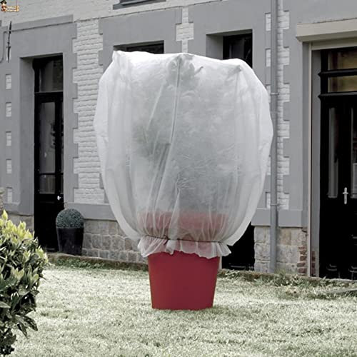 BricoLoco.com Pack 6 uds. Funda Protectora heladas Plantas. Tela protección Invierno. Manta de Malla geotextil. Tejido antiheladas. Velo hibernación. 1,80 MTS. x 1,25 MTS. (6)