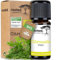 rooted.® BIO Citronellaöl 10ml [100% NATURREIN] - Cymbopogon winterianus - Ätherisches Öl für Aromatherapie, Duftlampe, Diffusoren, Raumduft, Duftkerzen und -Seifen (10ml)