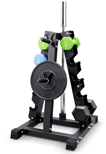 YOLEO Rack Palestra - Rastrelliera pesi Regolabile Porta pesi Palestra Casa, Porta Dischi Palestra pesi Pesanti Supporto per Manubri (Telaio ad A multifunzionale)