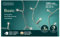 Lumineo Lichterkette Basic warm weiß -180 LED's - 13,5 Meter - transparentes Kabel - Indoor & Outdoor - Timer - dimmbar - IP44