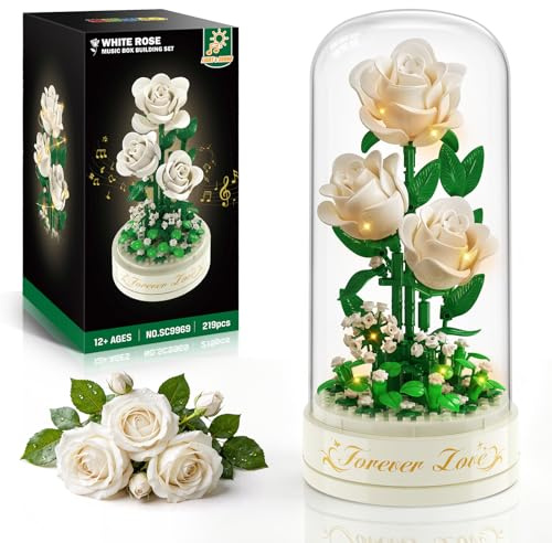 HiWEEGO Kit de Construction de Fleurs Boîte à Musique avec lumière LED