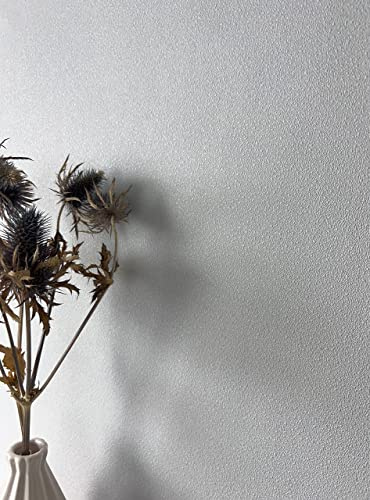 Newroom Tapete Hellgrau Vliestapete Unifarbe - Universal Modern Grau Struktur Monochrom Uni Uni Einfarbig inkl. Tapezier-Ratgeber