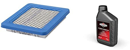 Briggs and Stratton Genuine 491588S Air Filter Cartridge & 100005E 4-stroke lawn mower engine oil SAE30, 0.6 l