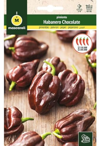Mascarell Semillas, PIMIENTO, Semillas Huerto, PIMIENTO HABANERO CHOCOLATE, Crea tu Propio Huerto Urbano y Cultivo en Casa, Plantas Hortícolas, 0,1 Gramos