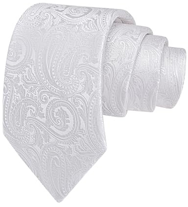 GUSLESON Mens Paisley Tie White Wedding Necktie Formal Business (1020-02)