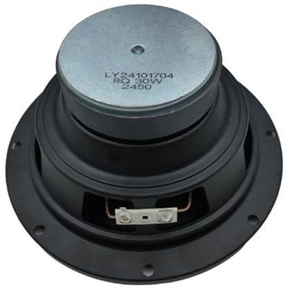 Haut-parleur de rechange pour voiture de 16,5 cm 30 W 8Ω avec caisson de basses externe