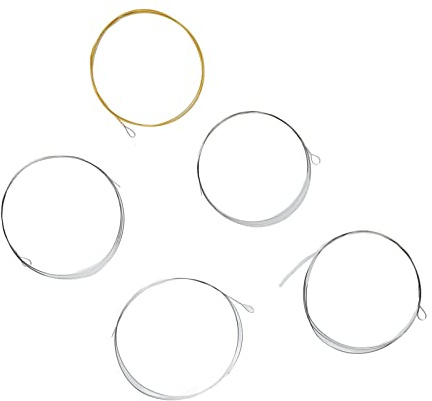 Xiuganpo 5-saitige Banjo-Saite, Volle Resonanz, Dicke Hohe Noten, Edelstahl-Saitenersatz für Spieler, 5er-Pack für Leistung