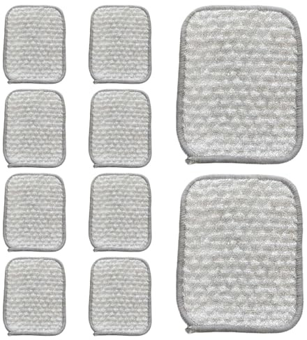 Bkljkf Spugne abrasive, 10 pezzi, spugne per risciacquo su entrambi i lati, per uomini, donne, cucina, famiglia, pentole in ceramica