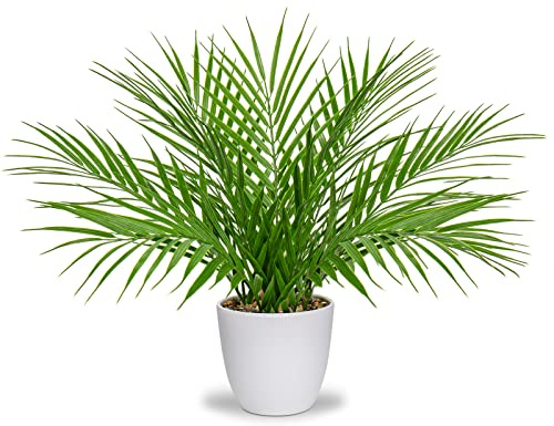 Briful Fake Plant 15’’ Artificial Palm Plant in White Pot Real Touch Faux Tropical Palm Tree Houseplant for Home Indoor Living Room Tabletop Balcony Decorations