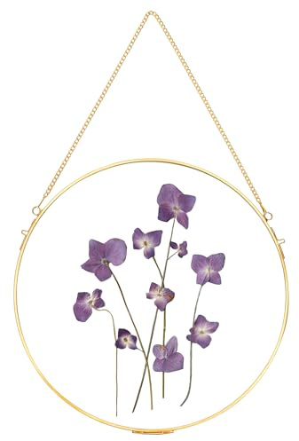 REDHUGO Glass Frame for Pressed Flowers Handmade, Circle, Gold | Wall Hanging Brass Floating Frame, Double Glass Round Picture, Glass Frame for Dried Flowers Poster Home Wall Decor