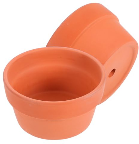 Homoyoyo Lot de 2 Pots de Fleurs en Terre Cuite Rouge Diamètre 125 CM avec Trou de Drainage pour Cactus Succulentes et Bonsaïs Récipient Naturel pour Jardin Intérieur et Extérieur