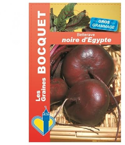 Sachet de graines de Betterave noire d'Egypte (plate) GROS GRAMMAGE - 21 g - légume racine - LES GRAINES BOCQUET