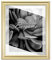 BIRAPA Bergamo Bilderrahmen Gold Schlicht- Optik - Bilder Rahmen 70x100cm - Fotorahmen Glas antireflex Plexiglasscheibe - Wanddeko Fotowand Fotogeschenke