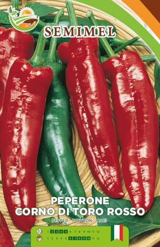 Peperone Corno di Toro Rosso - Frutti Conici, Precoce, Alta Produttività, Semina Gennaio - Marzo 2 confezioni