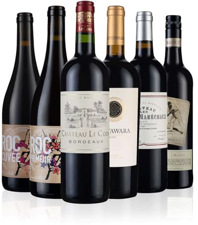 Laithwaites Merlot Mix Red Wine Selection - Case of 6 Mixed Bottles (75cl) - Variety of Spanish, Australian, American, Italian & French - Mirlo Merlot, Château Moulin du Prieur Rouge & More