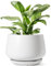 LE TAUCI Ceramic Plant Pots, 30 cm Plant Pot Indoor with Drainage Holes and Saucers, Stylish and Durable Planter, Ceramic Pots for Plants, Gift for Mom, White
