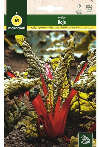 Mascarell Semillas, ACELGA, Semillas Huerto, ACELGA ROJA, Crea tu Propio Huerto Urbano y Cultivo en Casa, Plantas Hortícolas, 5 Gramos