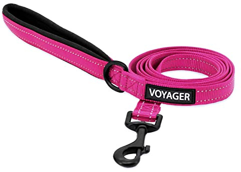 Best Pet Supplies Voyager Nylon Dog Leash - Fuchsia, Medium