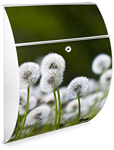 Burg Wächter Design Briefkasten | Modell Riviera 46x33,5x13cm groß | verzinkter Stahl weiß | Postkasten mit Öffnungsstopp, großer A4 Einwurf, Zylinderschloss, 2 Schlüssel | Motiv Pusteblumenwiese