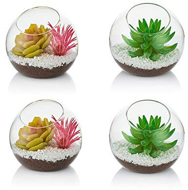 Glas Luft Pflanze Terrarium, 10cm Mini Terrarium, 4 Stück Tisch Glas Terrarium Behälter, Tischplatte Display Vase Topf Innendekor für Sukkulente, Kaktus, Kerze