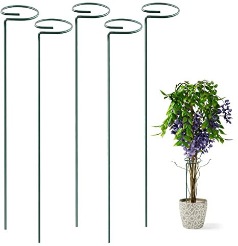 ZXCFTG Lot de 5 tuteurs de support pour plantes à tige unique en métal de 40 cm pour orchidée, glaïeul, iris et dahlia, amaryllis, rose et lys
