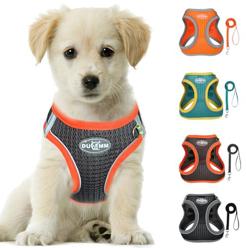 LOS ANDES Hundegeschirr mit Leine, Reflektierend, Weich Gepolstert, Air-Mesh, für Kleine Hunde und Katzen, in Grey Reflective, Größe S