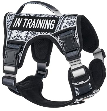 AUNZO No Pull Dog Harness for Small Dog Breeds, Anti-Escape Easy Walking Reflective Adjustable Lightweight Dog Vest with Breathable Oxford Material, Easy on Easy Off with Neck Buckle,Black Ethnic XS