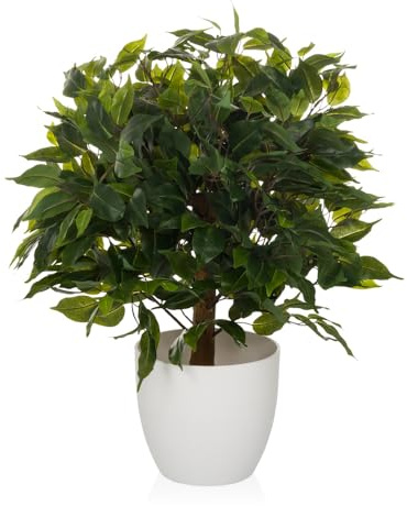 hjh OFFICE Konstgjorda växter FICUS II Plast Grön