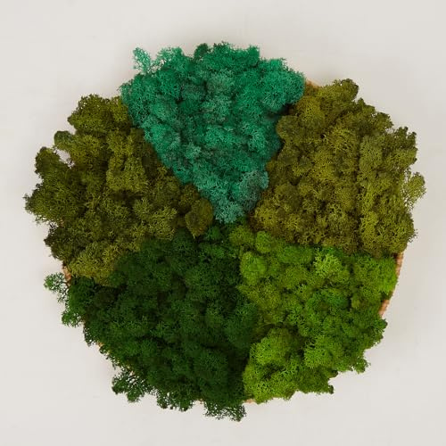 prefleur 5 Color Mix Pack Preserved Reindeer Moss Natural Green DIY Kit Gardenning Art Wall Decor Florist Decor (1 lb)(Green-03 Green-04 Green-06 Green-10 Green-11)