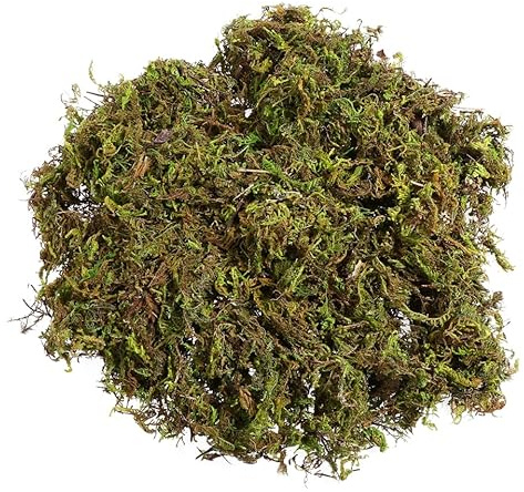Sewroro Forest Moss Preserved Artificial Lichen Decorative Moss for Potted Plants Indoor Planters Crafts (About 60g)