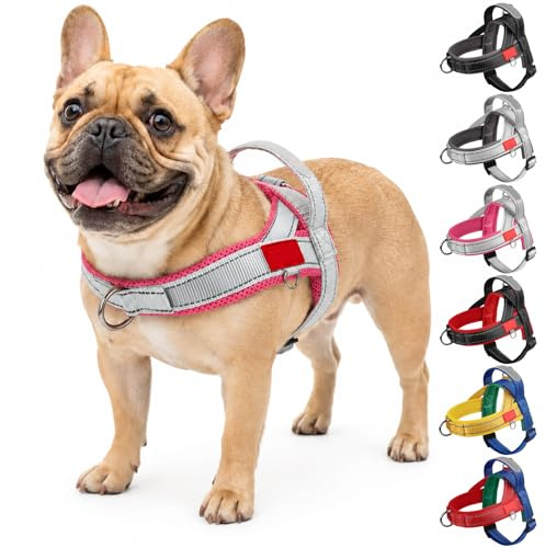 Olcyren Dog Harness for Small Medium Dogs Puppy, No Pull Adjustable Reflective Dog Harness with Front Clip and Handle, Soft Breathable Pet Vest Harness with Safety Buckle (Gray Rose Red, S)