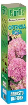 Flortis Ortensia Rosa, Pianta Vera da Giardino, Altezza 40 cm, da Trapiantare